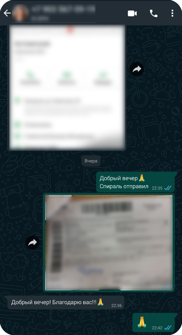 Отзыв васту спирали